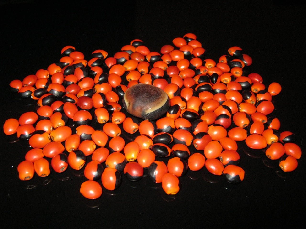 guarana